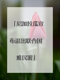 尼加拉瓜宣布退出联合国难民署