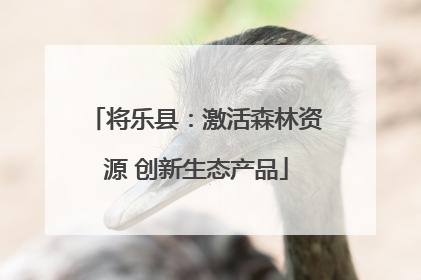 将乐县：激活森林资源 创新生态产品