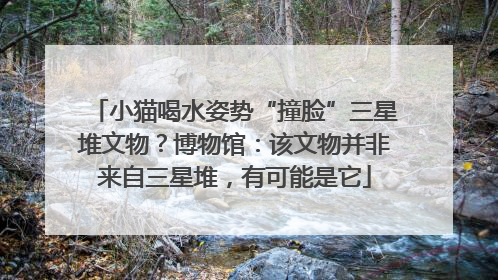 小猫喝水姿势“撞脸”三星堆文物？博物馆：该文物并非来自三星堆，有可能是它