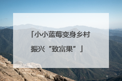 小小蓝莓变身乡村振兴“致富果”