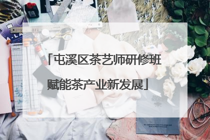 屯溪区茶艺师研修班赋能茶产业新发展
