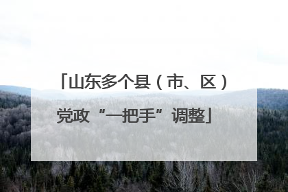 山东多个县（市、区）党政“一把手”调整