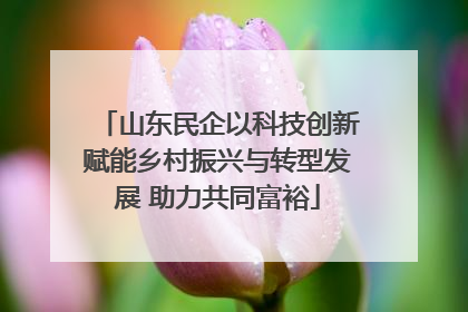 山东民企以科技创新赋能乡村振兴与转型发展 助力共同富裕