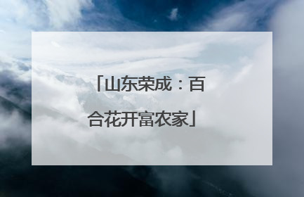 山东荣成：百合花开富农家