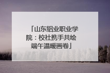 山东铝业职业学院：校社携手共绘端午温暖画卷