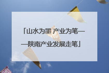 山水为墨 产业为笔——陕南产业发展走笔