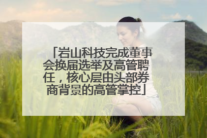 岩山科技完成董事会换届选举及高管聘任，核心层由头部券商背景的高管掌控