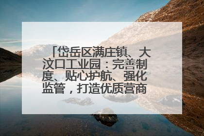 岱岳区满庄镇、大汶口工业园：完善制度、贴心护航、强化监管，打造优质营商“强磁场”