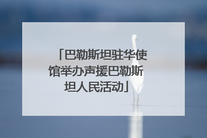 巴勒斯坦驻华使馆举办声援巴勒斯坦人民活动