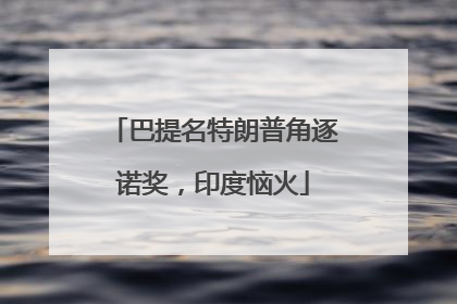 巴提名特朗普角逐诺奖，印度恼火