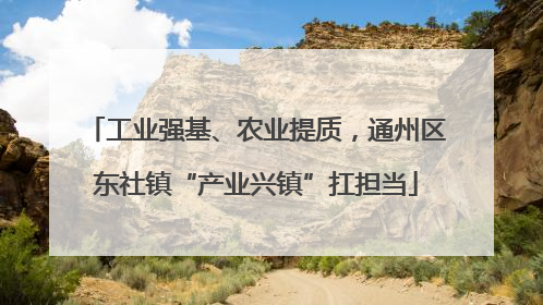 工业强基、农业提质，通州区东社镇“产业兴镇”扛担当