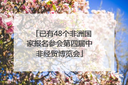 已有48个非洲国家报名参会第四届中非经贸博览会
