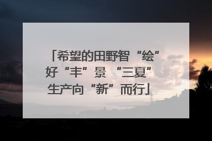 希望的田野智“绘”好“丰”景 “三夏”生产向“新”而行