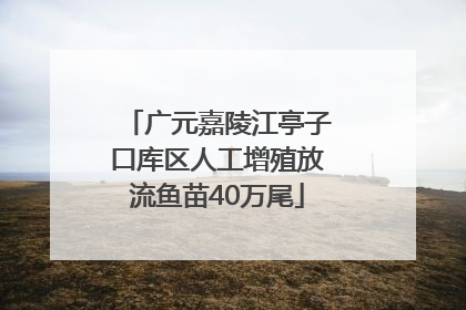 广元嘉陵江亭子口库区人工增殖放流鱼苗40万尾