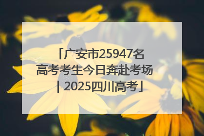 广安市25947名高考考生今日奔赴考场｜2025四川高考