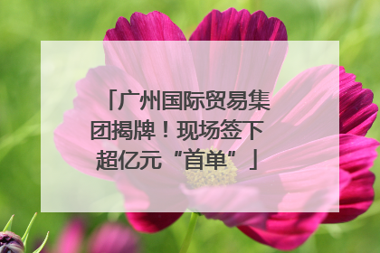 广州国际贸易集团揭牌！现场签下超亿元“首单”