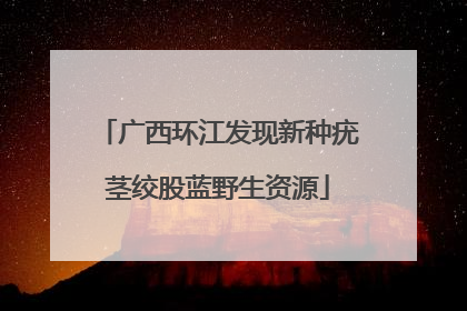 广西环江发现新种疣茎绞股蓝野生资源