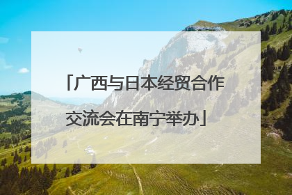 广西与日本经贸合作交流会在南宁举办