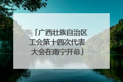广西壮族自治区工会第十四次代表大会在南宁开幕