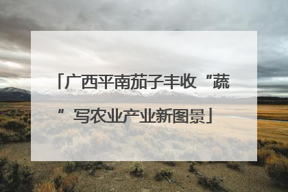 广西平南茄子丰收“蔬”写农业产业新图景