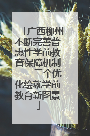 广西柳州不断完善普惠性学前教育保障机制——三个优化绘就学前教育新图景