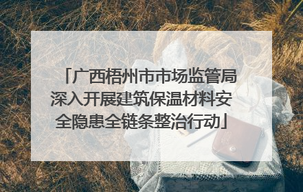 广西梧州市市场监管局深入开展建筑保温材料安全隐患全链条整治行动