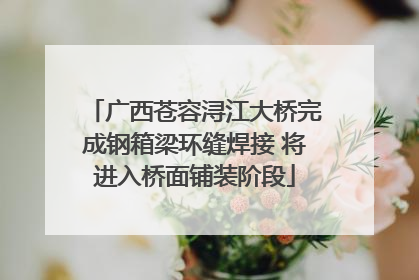 广西苍容浔江大桥完成钢箱梁环缝焊接 将进入桥面铺装阶段