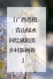 广西苍梧：青山绿水间绘就和美乡村新画卷