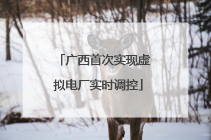 广西首次实现虚拟电厂实时调控