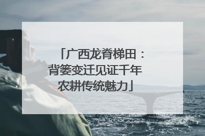 广西龙脊梯田：背篓变迁见证千年农耕传统魅力