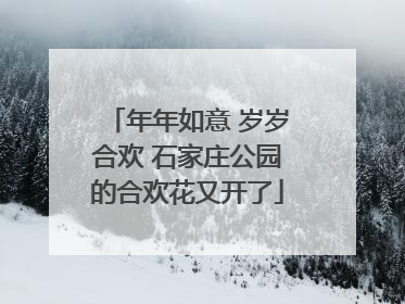 年年如意 岁岁合欢 石家庄公园的合欢花又开了
