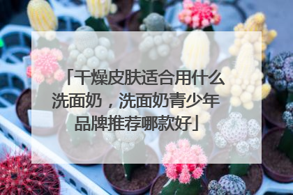 干燥皮肤适合用什么洗面奶，洗面奶青少年品牌推荐哪款好