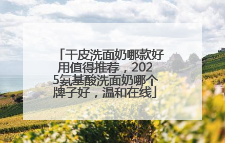 干皮洗面奶哪款好用值得推荐，2025氨基酸洗面奶哪个牌子好，温和在线