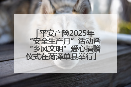 平安产险2025年“安全生产月”活动暨“乡风文明”爱心捐赠仪式在菏泽单县举行