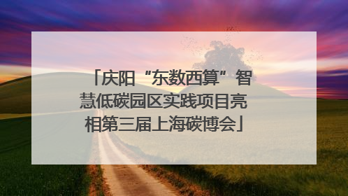 庆阳“东数西算”智慧低碳园区实践项目亮相第三届上海碳博会