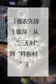 强农先锋丨张萍：从“三无村”到“样板村”