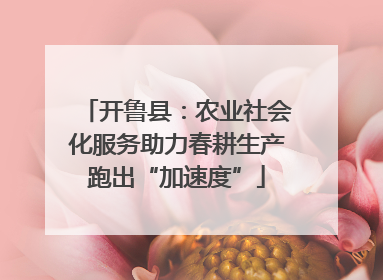 开鲁县：农业社会化服务助力春耕生产跑出“加速度”