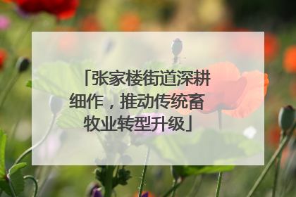 张家楼街道深耕细作，推动传统畜牧业转型升级