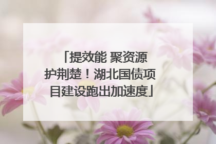 提效能 聚资源 护荆楚！湖北国债项目建设跑出加速度