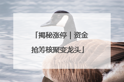 揭秘涨停｜资金抢筹核聚变龙头