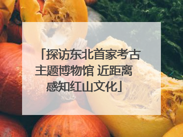 探访东北首家考古主题博物馆 近距离感知红山文化
