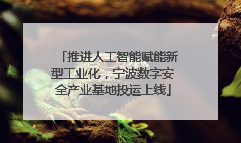 推进人工智能赋能新型工业化，宁波数字安全产业基地投运上线