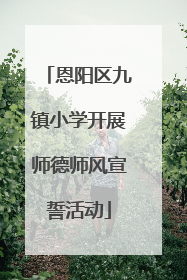 恩阳区九镇小学开展师德师风宣誓活动