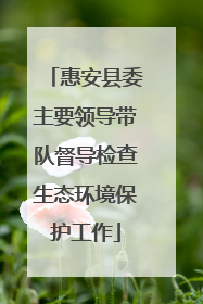 惠安县委主要领导带队督导检查生态环境保护工作