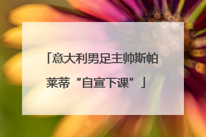 意大利男足主帅斯帕莱蒂“自宣下课”