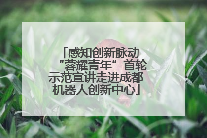 感知创新脉动 “蓉耀青年”首轮示范宣讲走进成都机器人创新中心
