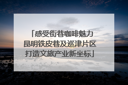 感受街巷咖啡魅力 昆明铁皮巷及巡津片区打造文旅产业新坐标