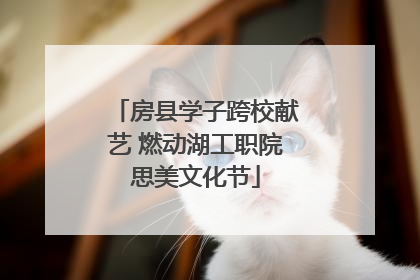 房县学子跨校献艺 燃动湖工职院思美文化节