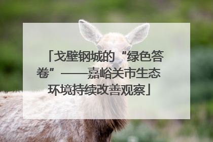 戈壁钢城的“绿色答卷”——嘉峪关市生态环境持续改善观察