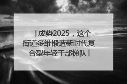 成势2025，这个街道多维锻造新时代复合型年轻干部梯队